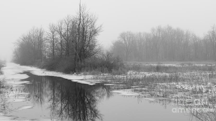 The Waiting Fog  Photograph by fototaker Tony