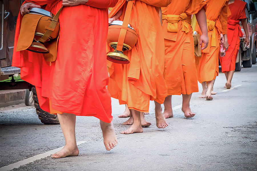 Luang Prabang Photograph - The Walk by Marla Brown