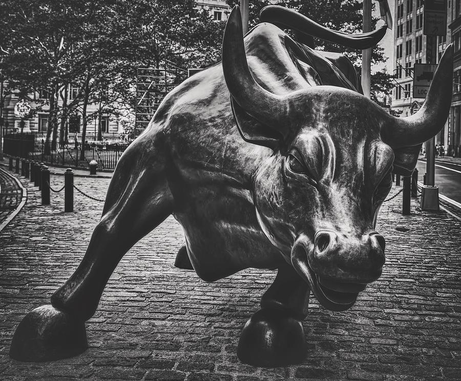 New York City Photograph - The Wall Street Bull by Mountain Dreams