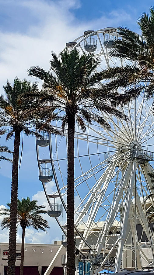 The Warf Ferris Wheel Photograph by Kenny Glover