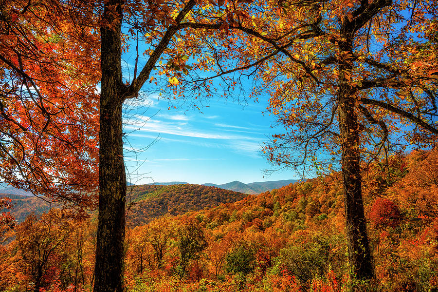 The Wash Creek Valley Overlook Blue Ridge Parkway Photograph by Mark Papke