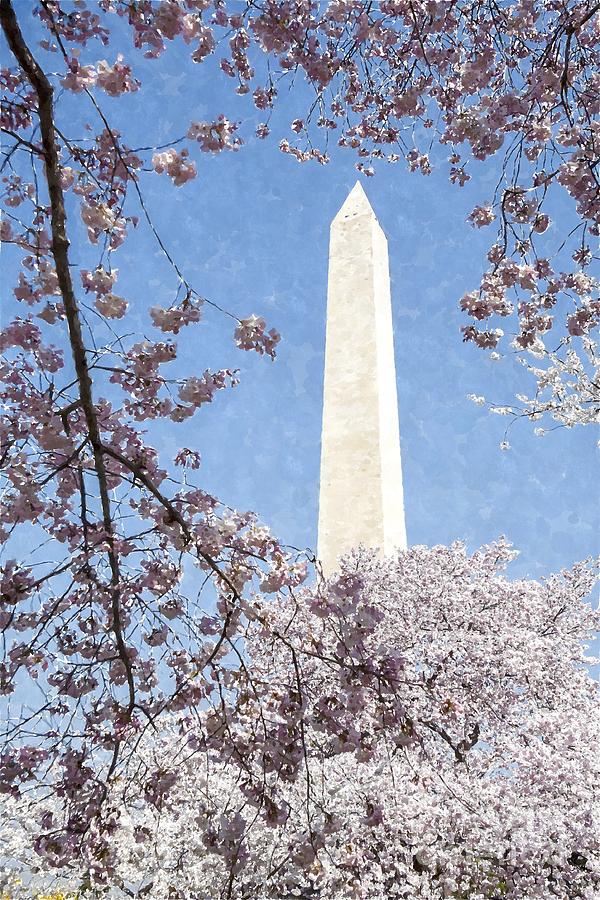 The Washington Monument and cherry blossoms in Washington DC USA Photograph by William Kuta