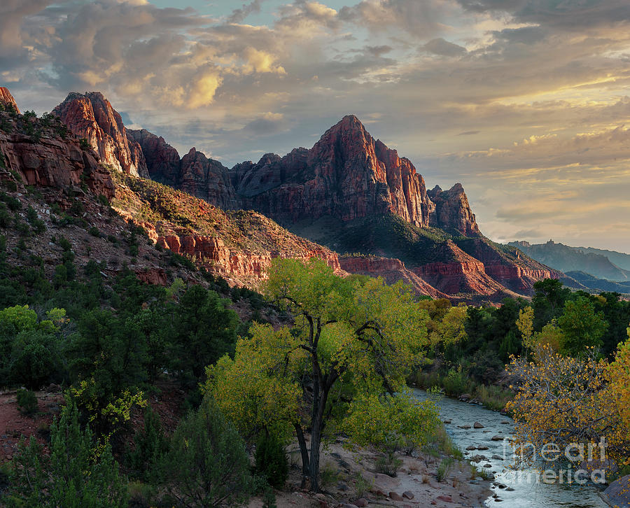 The Watchman and Virgin River Photograph by Sandra Bronstein