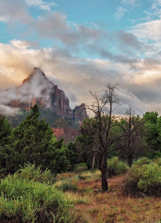 The Watchman at Dawn Photograph by Loree Johnson