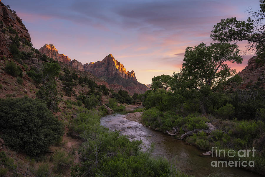 The Watchman Sunset  Photograph by Michael Ver Sprill
