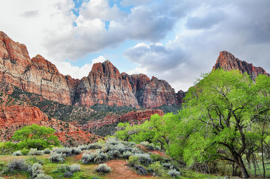 The Watchman Zion National Park Photograph by Kyle Hanson