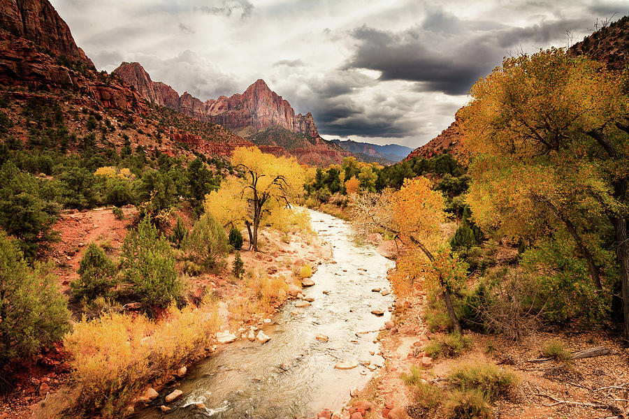 Zion National Park Photograph - The Watchman, Zion National Park by Peter OReilly