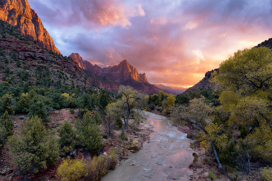The Watchman, Zion National Park, Utah Photograph by Justin Reznick Photography
