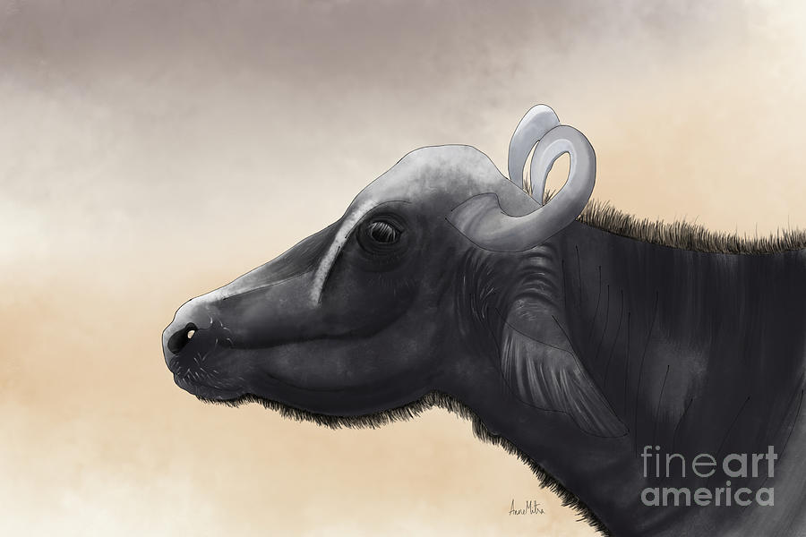 Animal Digital Art - The Water Buffalo by Anne Mitra