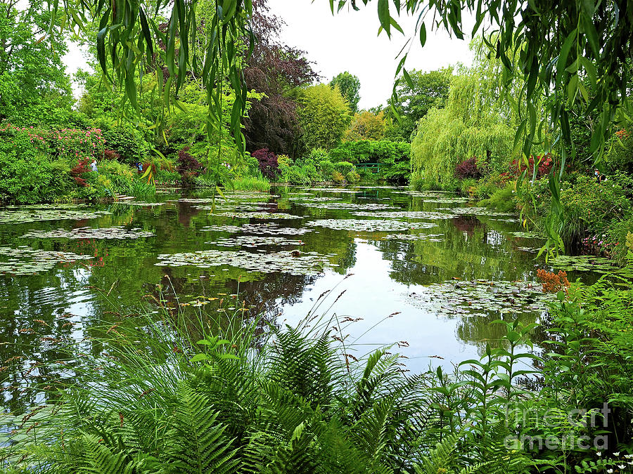The Water Garden At Giverny Photograph