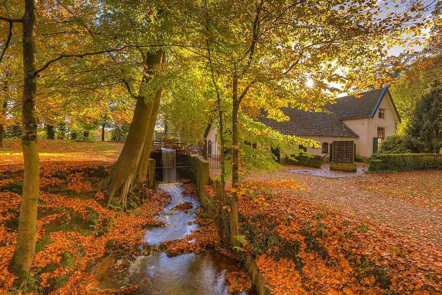 The Water Mill of Staverden and the Staverden Brook surrounded by beautiful Atumn Foliage of the Veluwe forest Photograph by Rob Kints