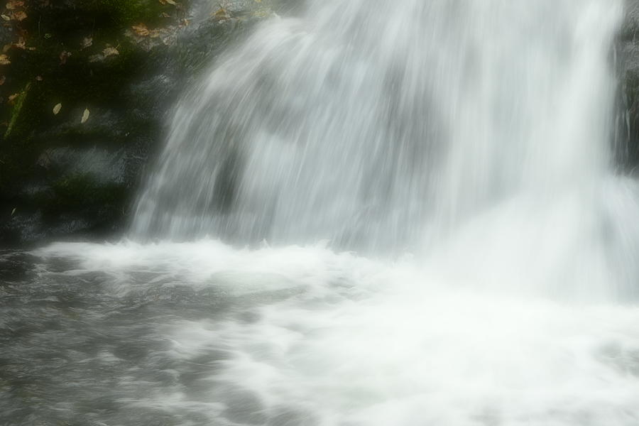 The Waterfall Photograph by Sandra Silva