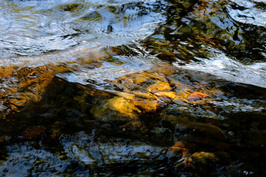The Waters Abstract portrait Photograph by Soraya DApuzzo The Waters Abstract portrait Photograph by Soraya DApuzzo