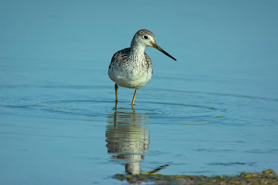 The Waters Fine Photograph by Marilyn McFarlin The Waters Fine Photograph by Marilyn McFarlin