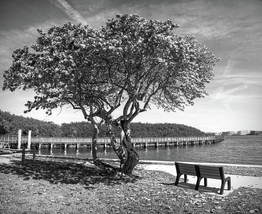 The Waterway at Snook Islands in Black and White Photograph by Debra and Dave Vanderlaan
