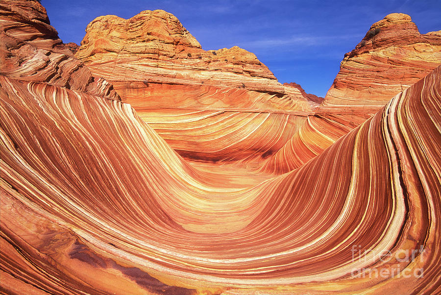 The Wave, Coyote Butte, Arizona, USA Photograph by Neale And Judith Clark