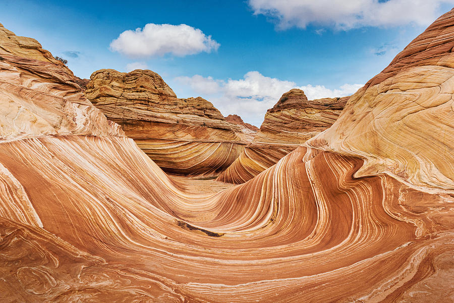 The Wave rock formation, panorama in Coyote Buttes north, Vermillion Cliffs, Arizona. Photograph by Francesco Riccardo Iacomino The Wave rock formation, panorama in Coyote Buttes north, Vermillion Cliffs, Arizona. Photograph by Francesco Riccardo Iacomino