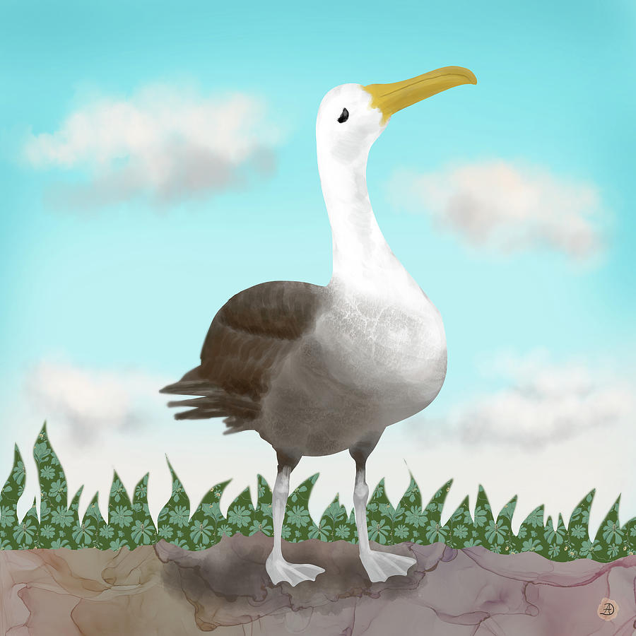 The Waved Albatross from Galapagos Digital Art by Andreea Dumez