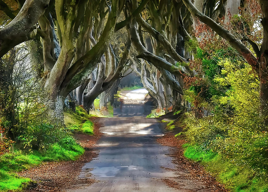 The Way Forward Photograph by Larry Ferreira - Fine Art America