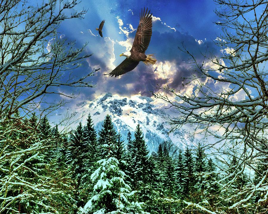 The Way of an Eagle Digital Art by Norman Brule