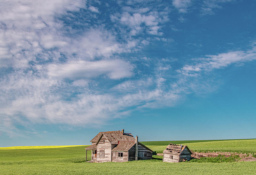 The Weber Place, An Abandoned Palouse Homestead Photograph by Marcy Wielfaert