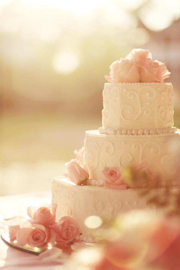 The Wedding Cake Photograph by Jenny Wymore - SunKissed Photography