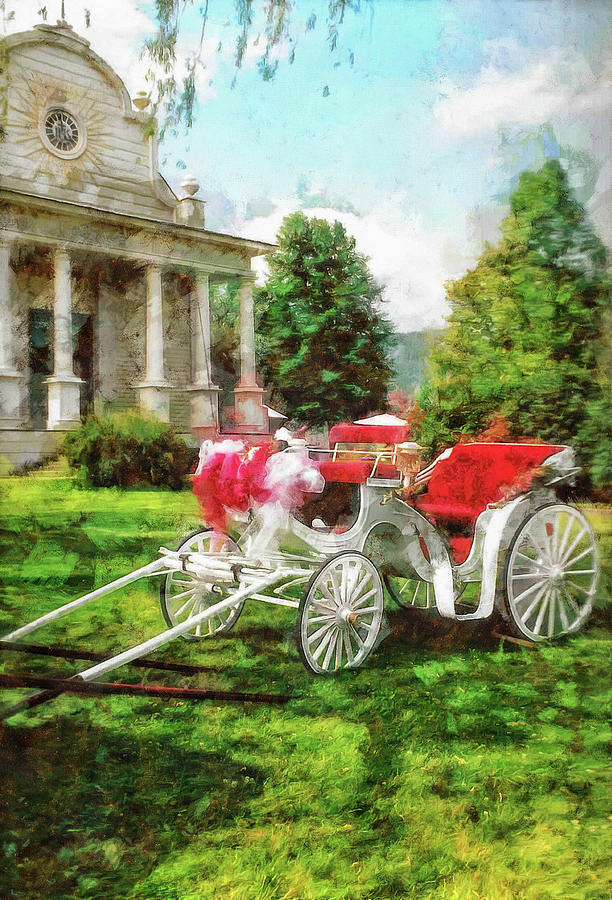 The Wedding Carriage Photograph by Thom Zehrfeld