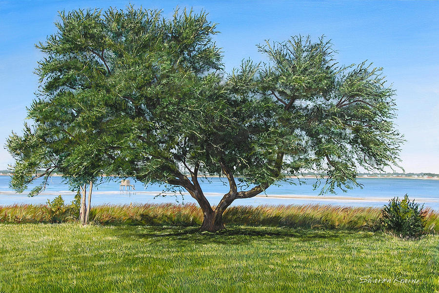 Atlantic Beach Painting - The Wedding Tree by Sharon Kearns