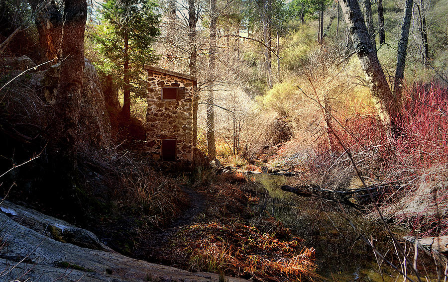 The Weir At Palomar Mountain Photograph