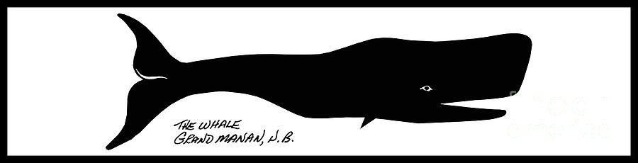 The Whale 1960 Digital Art by Art MacKay