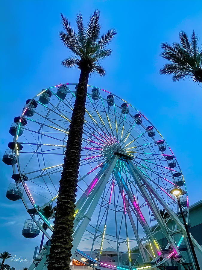 The Wharf Ferris Wheel Ornage Beach Photograph by Lisa Soots