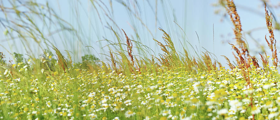 Landscape Photograph - The whirlwind of life by Karine GADRE Landscape Photograph - The whirlwind of life by Karine GADRE