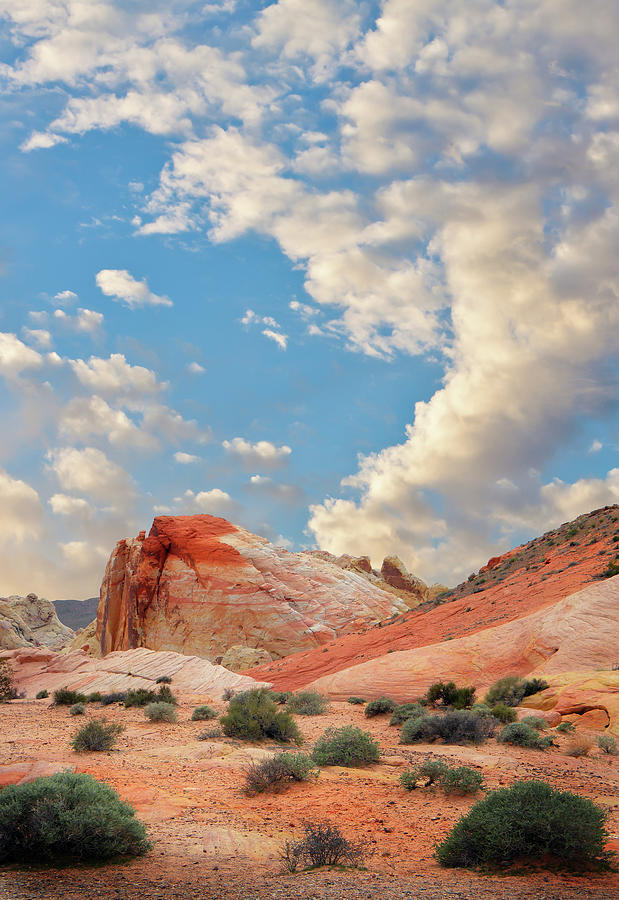 The White Domes Valley Of Fire Photograph