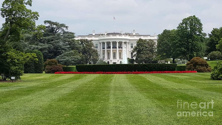 The White House Photograph by Elena Pratt