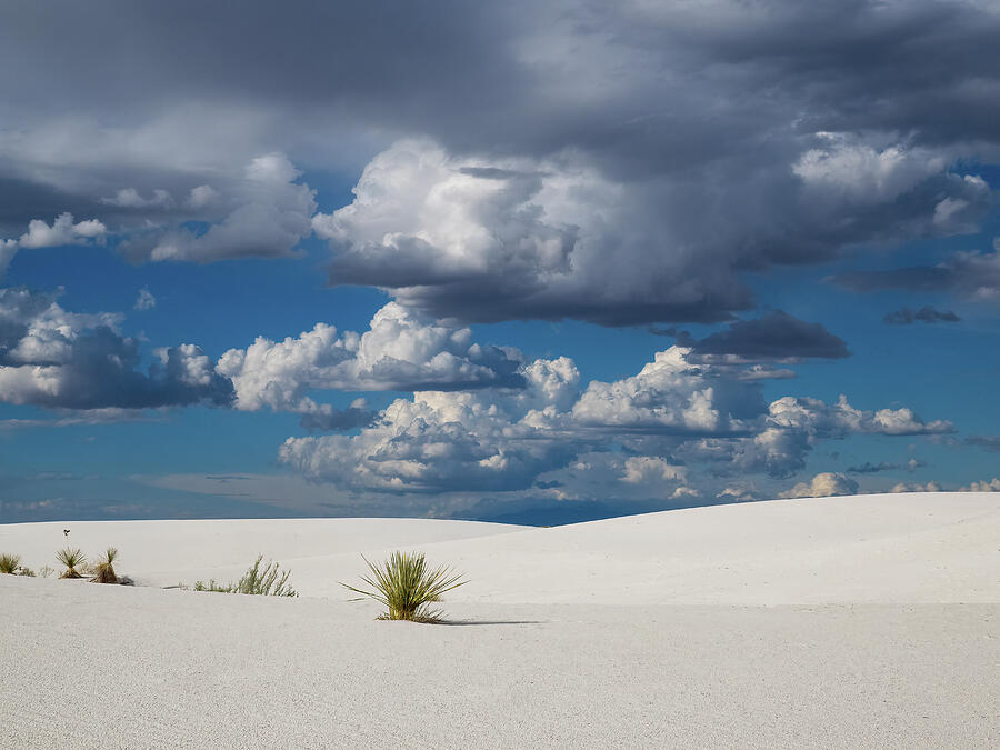 The White Sands of New Mexico Photograph by Joe Schofield The White Sands of New Mexico Photograph by Joe Schofield