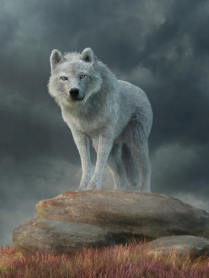 The White Wolf Digital Art by Daniel Eskridge