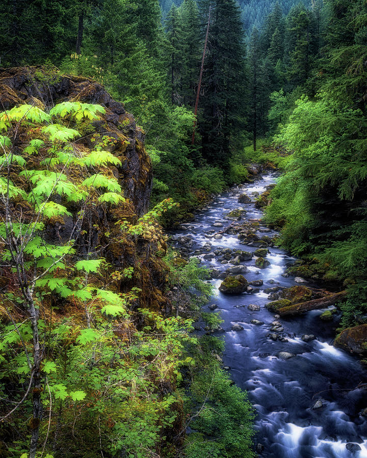 The Wild and Scenic McKenzie River rushes through the Willamette ...