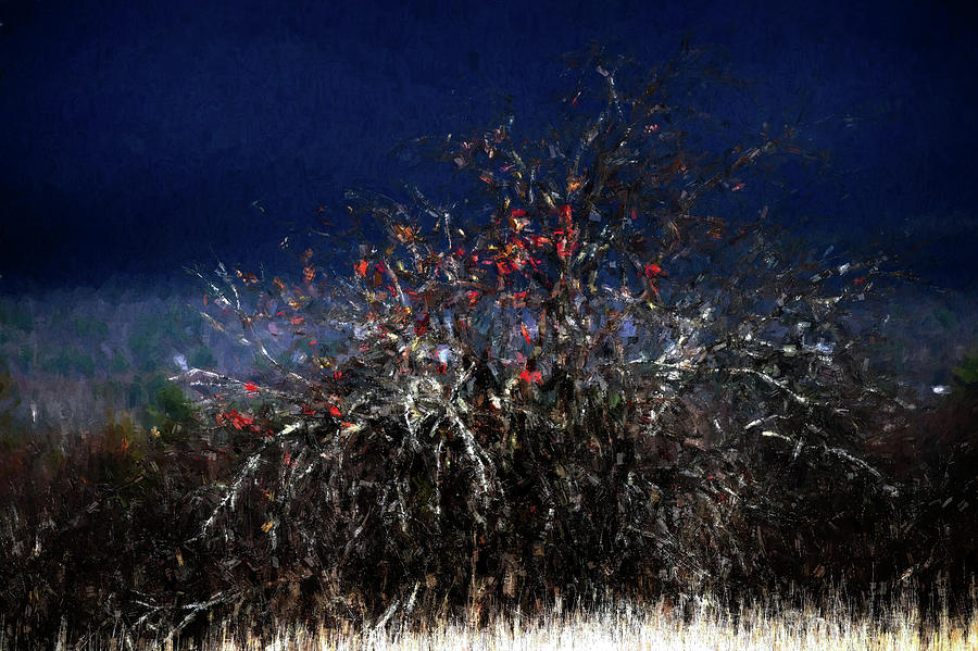 The Wild Apple Original by Wayne King The Wild Apple Original by Wayne King