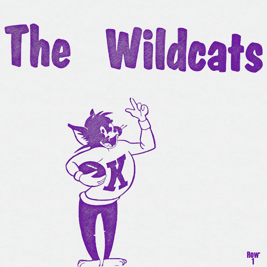 The Wildcats Mixed Media by Row One Brand