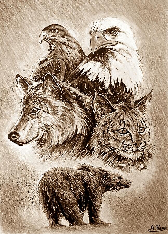 The Wildlife Collection sepia  Drawing by Andrew Read