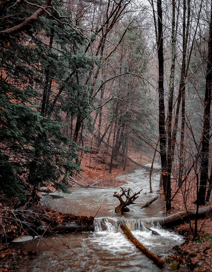 The Wilds by Christopher Brown The Wilds by Christopher Brown