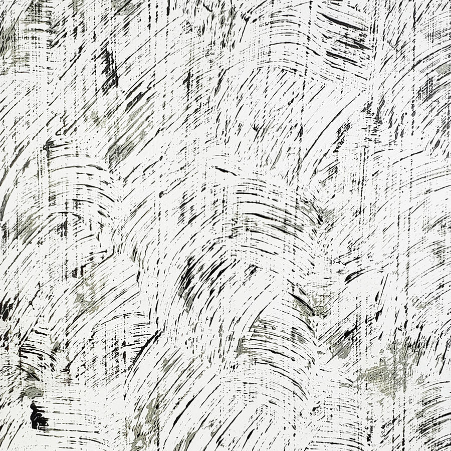 THE WIND Abstract Windy Day Black and White  Painting by Lynnie Lang
