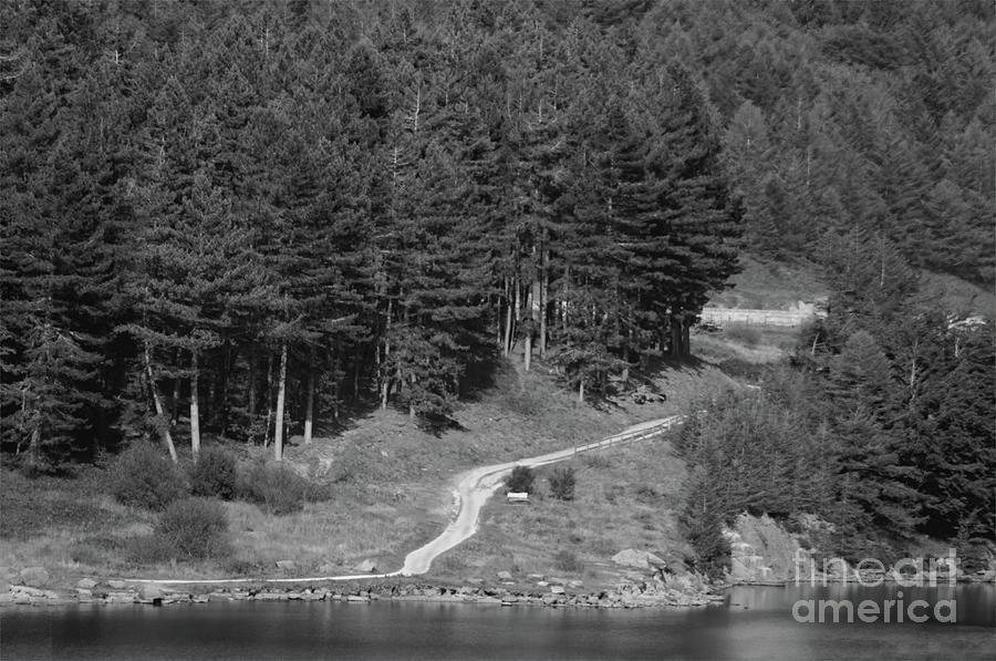 The winding path in Monochrome Photograph by Pics By Tony