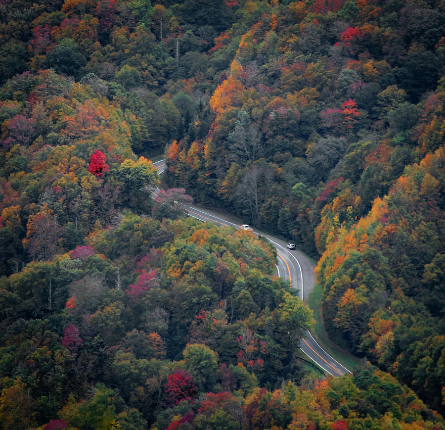 The winding road Photograph by Jamie Tyler