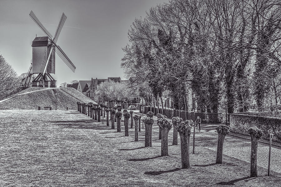 The Windmill Of Your Mind Photograph by Rabiri Us