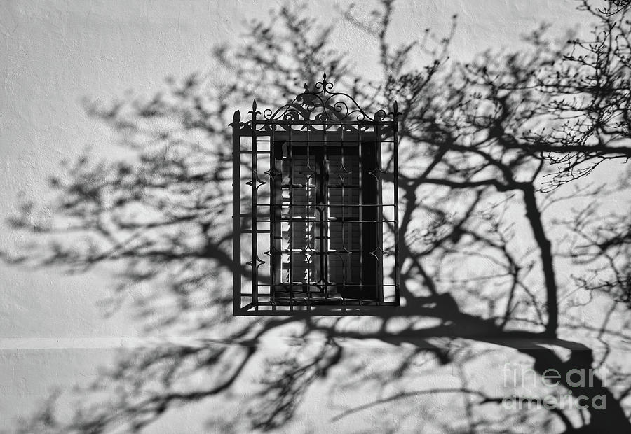 The Window Black and White Photograph by Andrea Anderegg