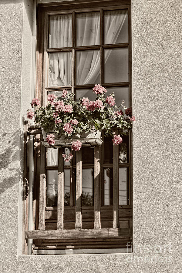 The Window Photograph by Elaine Teague