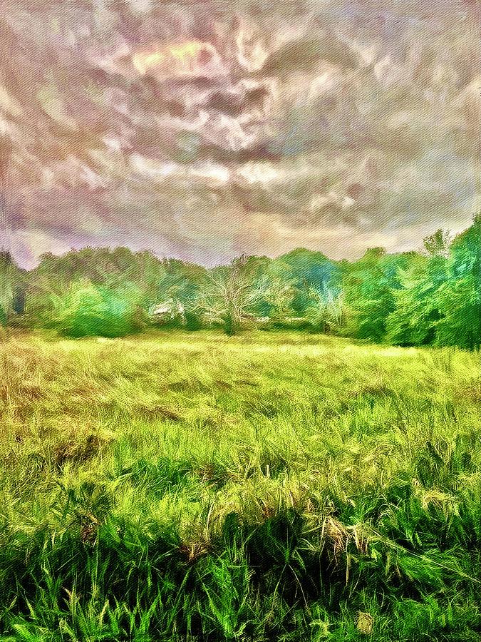 Nature Digital Art - The Windy Plains by Pamela Storch