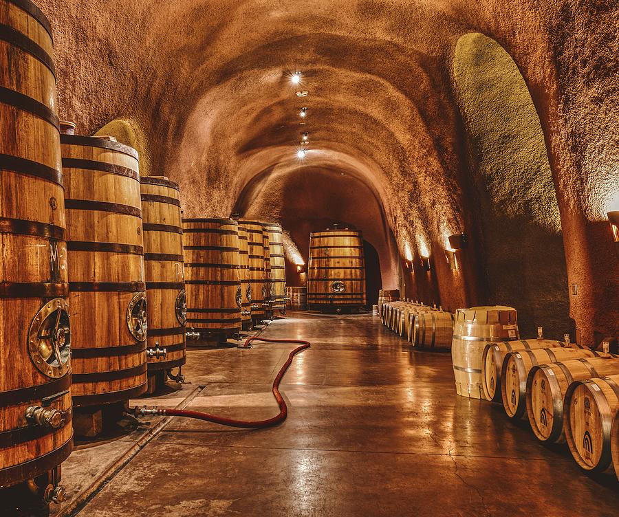 Holiday Photograph - The Wine Cave by Mountain Dreams