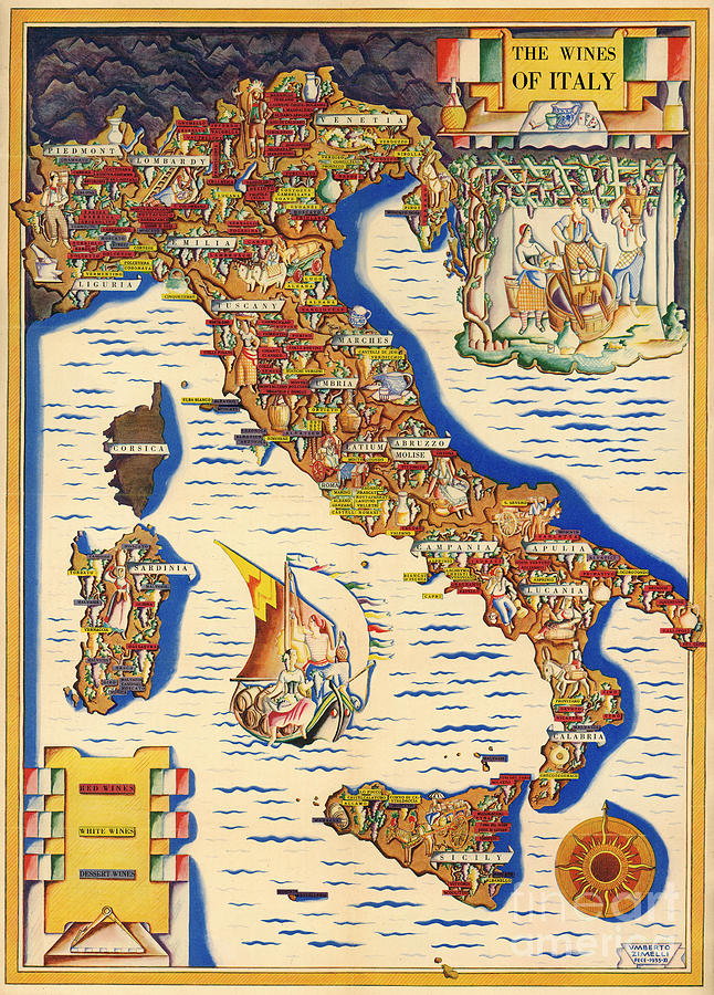 Umberto Zimelli - The Wines of Italy - 1933 Digital Art by Vintage Map Umberto Zimelli - The Wines of Italy - 1933 Digital Art by Vintage Map